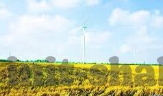 163足球比分网-163足球比分网，球迷的实时战报与数据宝库