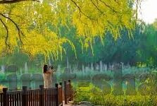 美国职业美式足球 比分-美国职业美式足球，比分背后的激情与策略交响曲
